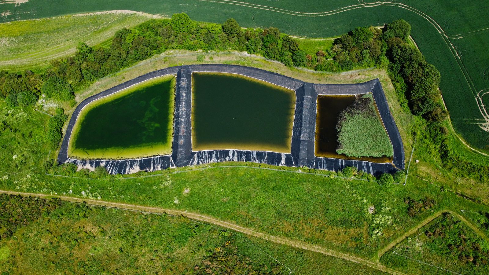 Geomembrane